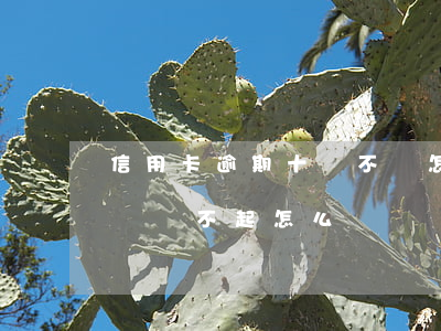 信用卡逾期十萬不還怎么辦(欠銀行信用卡十萬還不起怎么辦)
