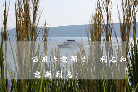 信用卡逾期十萬利息和罰金(信用卡 逾期罰息 逾期利息)