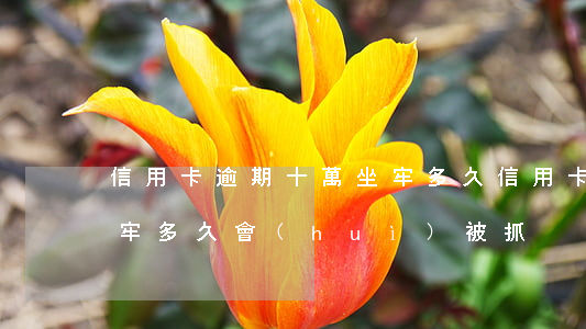 信用卡逾期十萬坐牢多久(信用卡逾期十萬坐牢多久會(huì)被抓)