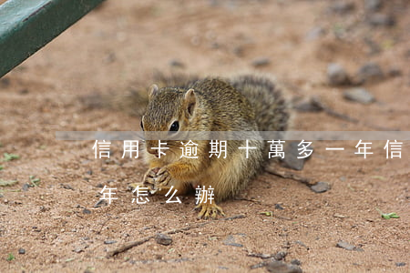信用卡逾期十萬多一年(信用卡800逾期十年怎么辦)