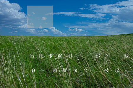 信用卡逾期十萬多久會被起訴坐牢(信用卡10萬逾期多久會被起訴)