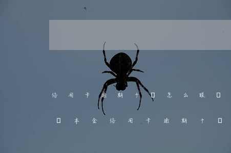 信用卡逾期十萬怎么跟銀行協(xié)商還本金（信用卡逾期十萬怎么跟銀行協(xié)商）