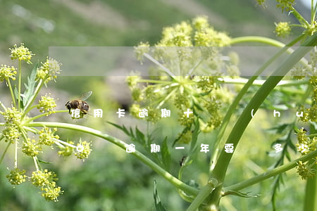 信用卡逾期十萬會(huì)怎樣(信用卡10萬逾期一年要還多少)