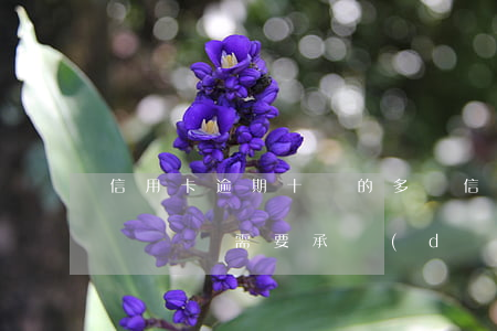 信用卡逾期十萬的多嗎(信用卡逾期超過10萬沒還需要承擔(dān)什么后果)