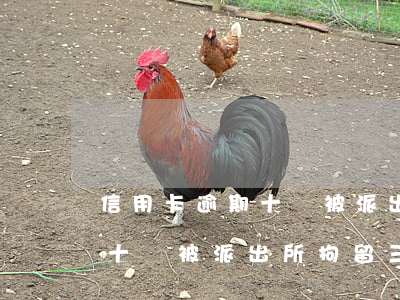 信用卡逾期十萬被派出所拘留-信用卡逾期十萬被派出所拘留三天