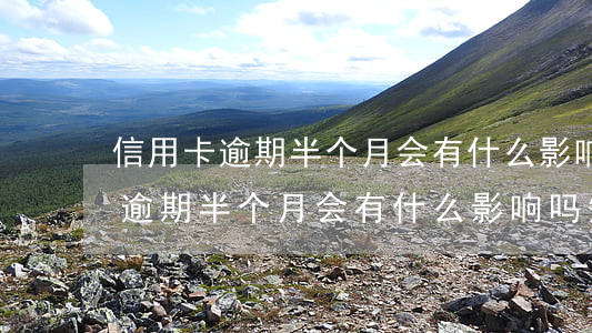 信用卡逾期半个月会有什么影响吗-信用卡逾期半个月会有什么影响吗知乎