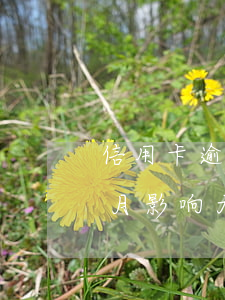 信用卡逾期半个月影响大吗(信用卡逾期半个月影响大吗贴吧)
