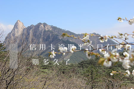 信用卡逾期半个月有没有事(你们的信用卡逾期多久了)