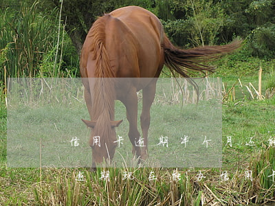 信用卡逾期半个月还能办别的卡吗 半年前有逾期,现在能办信用卡