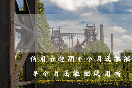 信用卡逾期半个月还能继续用吗(信用卡逾期半个月还能继续用吗)