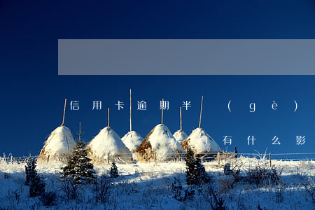 信用卡逾期半個(gè)月不還(信用逾期半個(gè)月有什么影響?)