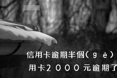 信用卡逾期半個(gè)月只還了100(信用卡2000元逾期了半個(gè)月才還有什么后果)