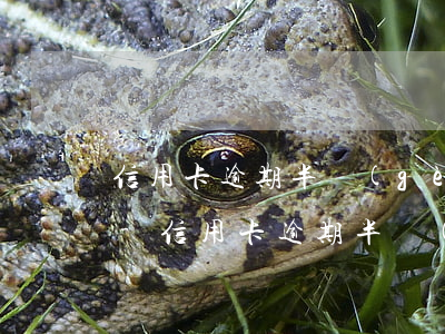 信用卡逾期半個(gè)月后還款還能用嗎-信用卡逾期半個(gè)月后還款還能用嗎
