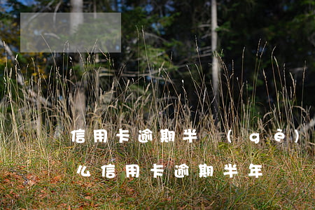 信用卡逾期半個(gè)月嚴(yán)重么(信用卡逾期半年)