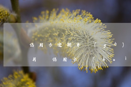 信用卡逾期半個(gè)月影響大嗎(逾期半月還信用卡會(huì)怎樣)