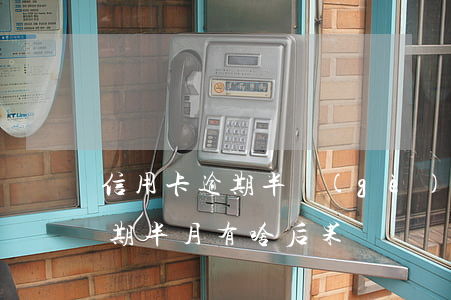 信用卡逾期半個(gè)月怎么樣(信用卡逾期半月有啥后果)