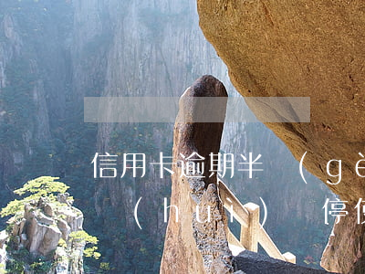 信用卡逾期半個(gè)月會(huì)不會(huì)暫停使用-信用卡逾期半個(gè)月會(huì)不會(huì)暫停使用了