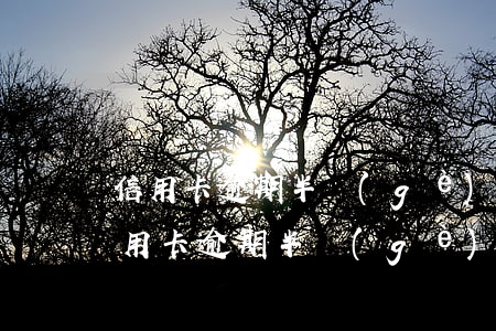 信用卡逾期半個(gè)月會(huì)(信用卡逾期半個(gè)月會(huì)上門催收嗎)