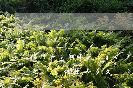 信用卡逾期半個(gè)月會(huì)催收嗎(欠信用卡多久會(huì)被催收)