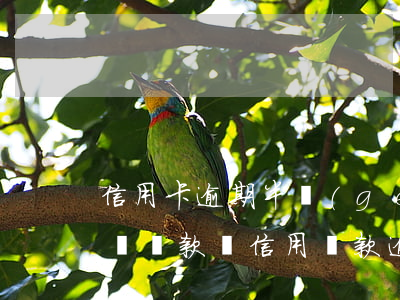 信用卡逾期半個(gè)月會(huì)影響貸款嗎(信用貸款逾期半個(gè)月會(huì)怎樣)