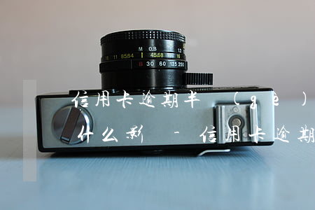 信用卡逾期半個(gè)月會(huì)有什么影響-信用卡逾期半個(gè)月會(huì)有什么影響呢