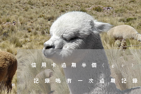 信用卡逾期半個(gè)月會(huì)有記錄嗎(有一次逾期記錄可以申請(qǐng)信用卡嗎)