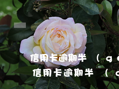 信用卡逾期半個(gè)月會有什么影響-信用卡逾期半個(gè)月會有什么影響呢