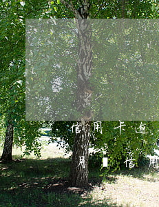 信用卡逾期半個(gè)月有后果嗎(逾期半月還信用卡會(huì)怎樣)