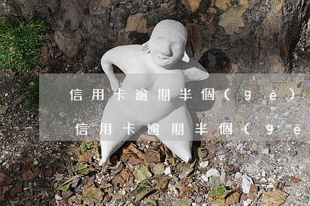 信用卡逾期半個(gè)月沒錢還怎么辦-信用卡逾期半個(gè)月沒錢還怎么辦呢