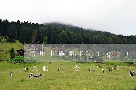 信用卡逾期半個(gè)月滯納金-逾期多久收滯納金