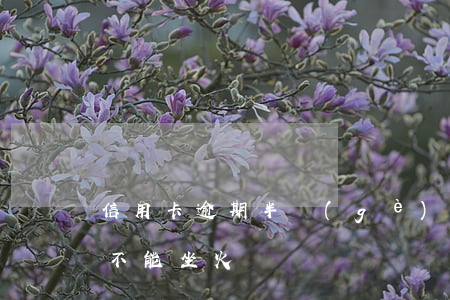 信用卡逾期半個(gè)月能坐火車(逾期了不能坐火車嗎)