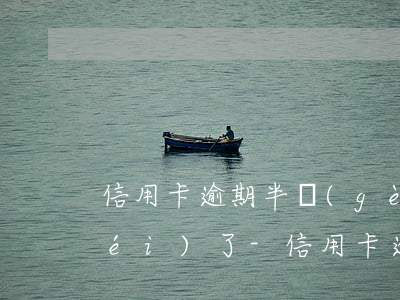 信用卡逾期半個(gè)月還上額度沒(méi)了-信用卡逾期半個(gè)月還上額度沒(méi)了怎么辦
