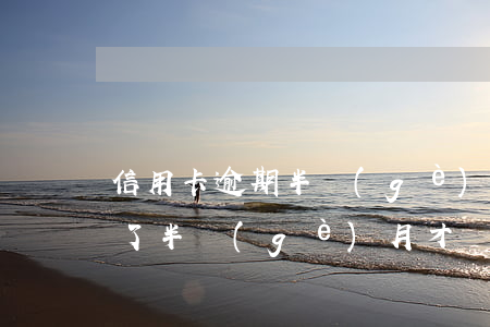 信用卡逾期半個(gè)月還款(信用卡逾期了半個(gè)月才還上)