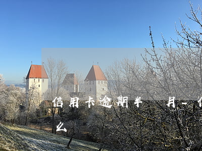 信用卡逾期半個月-信用卡逾期半個月會怎么樣