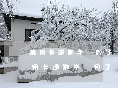 信用卡逾期半個月了還了以后還能用嗎-信用卡逾期半個月了還了以后還能用嗎