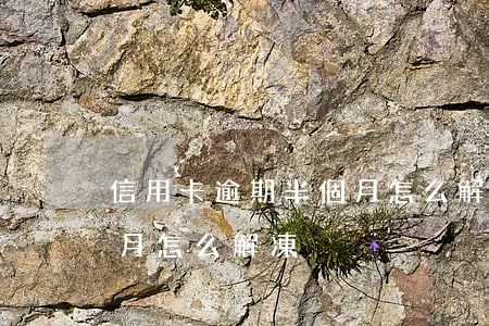 信用卡逾期半個月怎么解凍(信用卡逾期半個月怎么解凍)