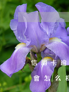 信用卡逾期半個月會怎么樣(信用卡逾期半年會怎么樣)