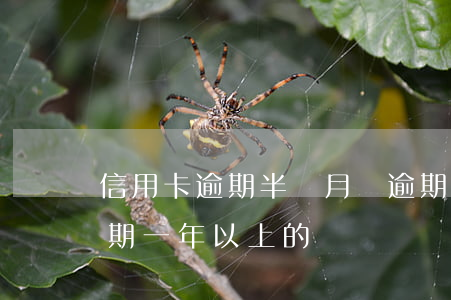 信用卡逾期半個月會逾期嗎(有沒有信用卡逾期一年以上的)