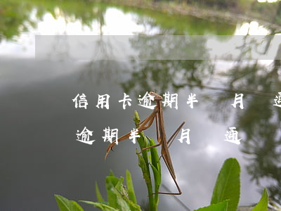 信用卡逾期半個月給通訊錄打電話-信用卡逾期半個月給通訊錄打電話有用嗎
