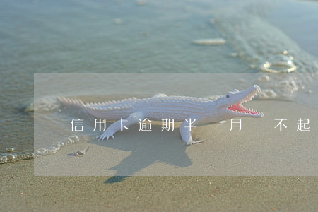 信用卡逾期半個月還不起(半個月沒還信用卡)