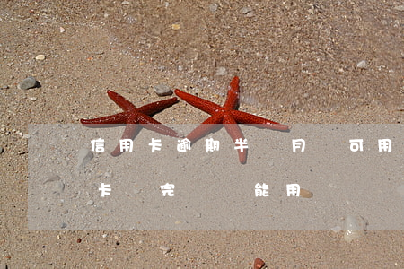 信用卡逾期半個月還可用嗎(逾期半年的信用卡還完錢還能用嗎)