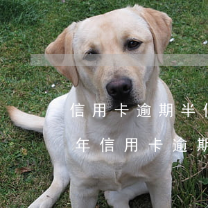 信用卡逾期半個月還最低可以嗎-2021年信用卡逾期半個月