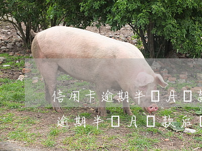 信用卡逾期半個月還款后還能用嗎-信用卡逾期半個月還款后還能用嗎有影響嗎