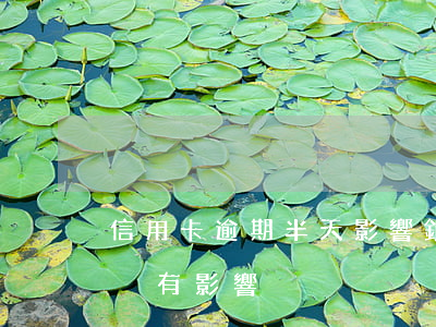 信用卡逾期半天影響(銀行信用卡逾期一天有沒有影響?)