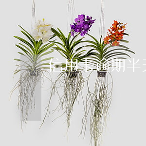信用卡逾期半天怎么辦(信用卡逾期一天)