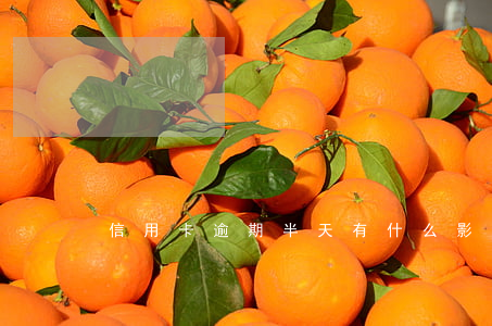 信用卡逾期半天有什么影響