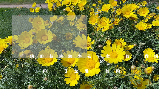 信用卡逾期半天還能貸款嗎(我信用卡逾期一個月,還了之后還能用嗎)
