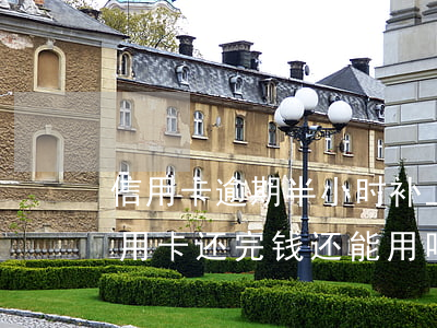 信用卡逾期半小时补上可以吗(逾期半年的信用卡还完钱还能用吗)