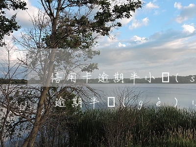 信用卡逾期半小時(shí)怎么辦(信用卡逾期半個(gè)小時(shí)算逾期么)