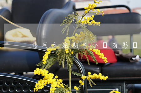 信用卡逾期半小時有影響嗎(信用卡 逾期 一周)